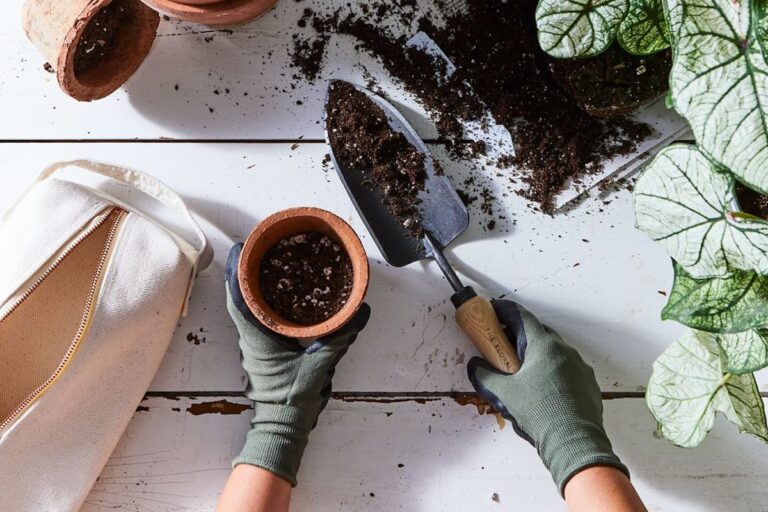 (Julia Gartland / Food52)