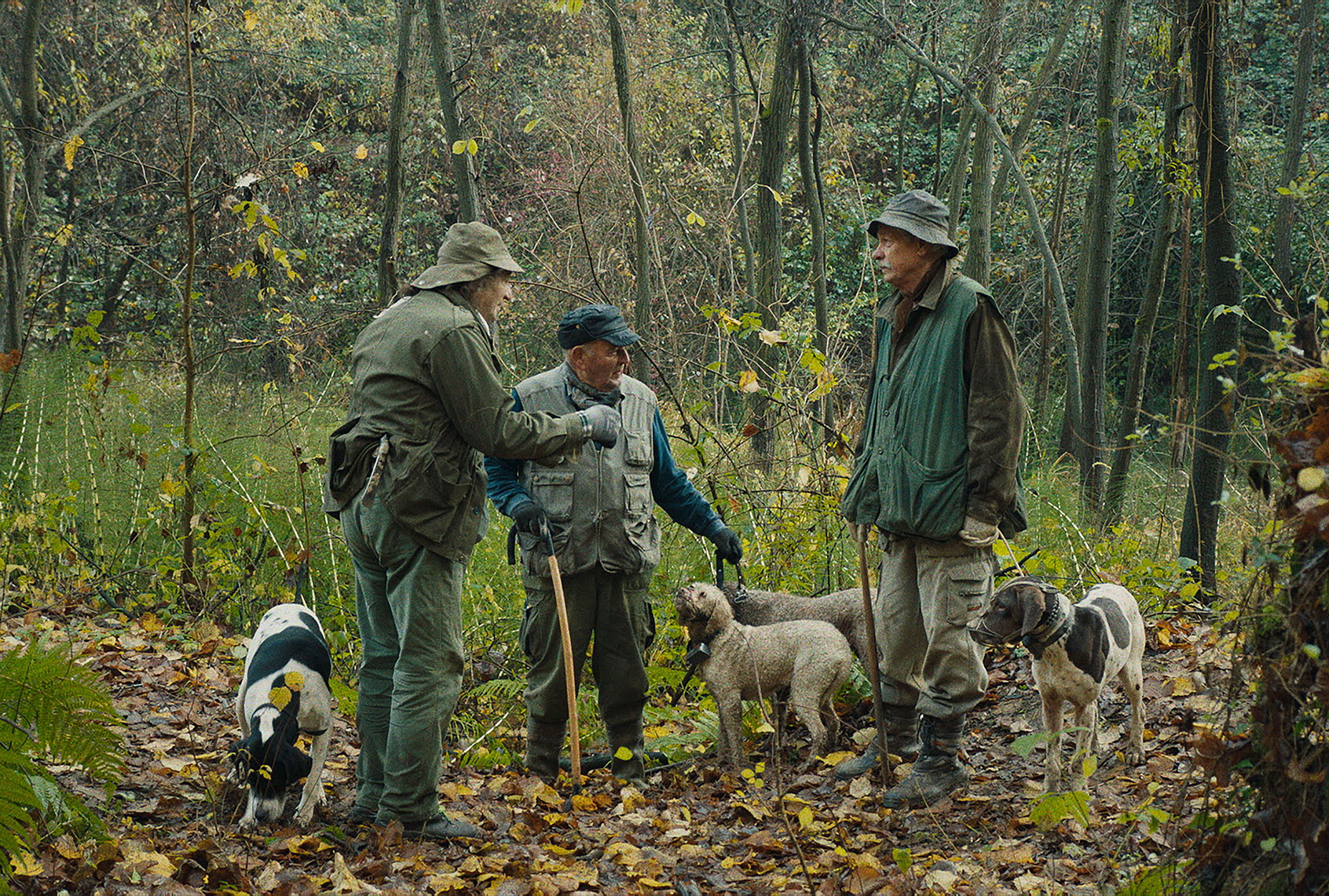 The Truffle Hunters (Sony Pictures Classics)