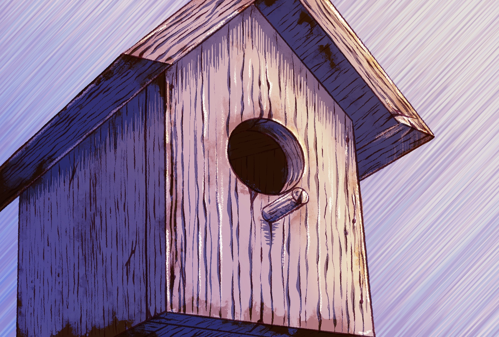 Wooden Birdhouse (Illustration by Ilana Lidagoster)