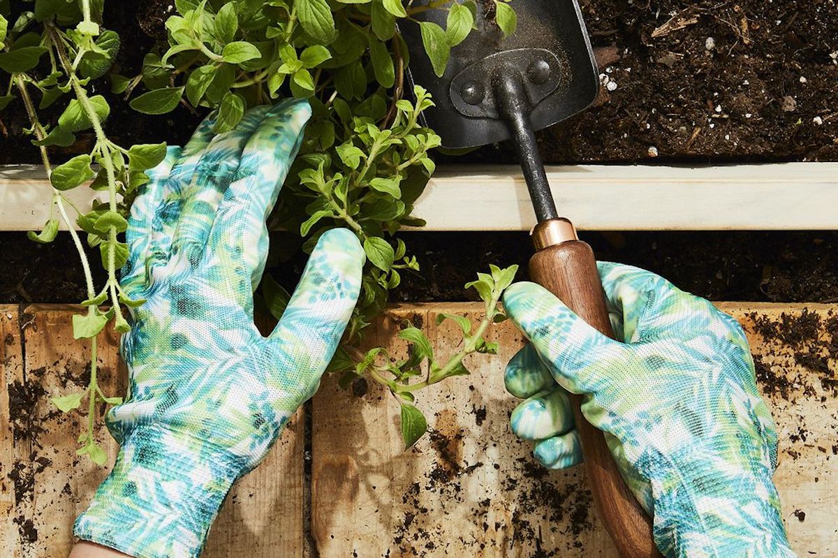 (Rocky Luten / Food52)