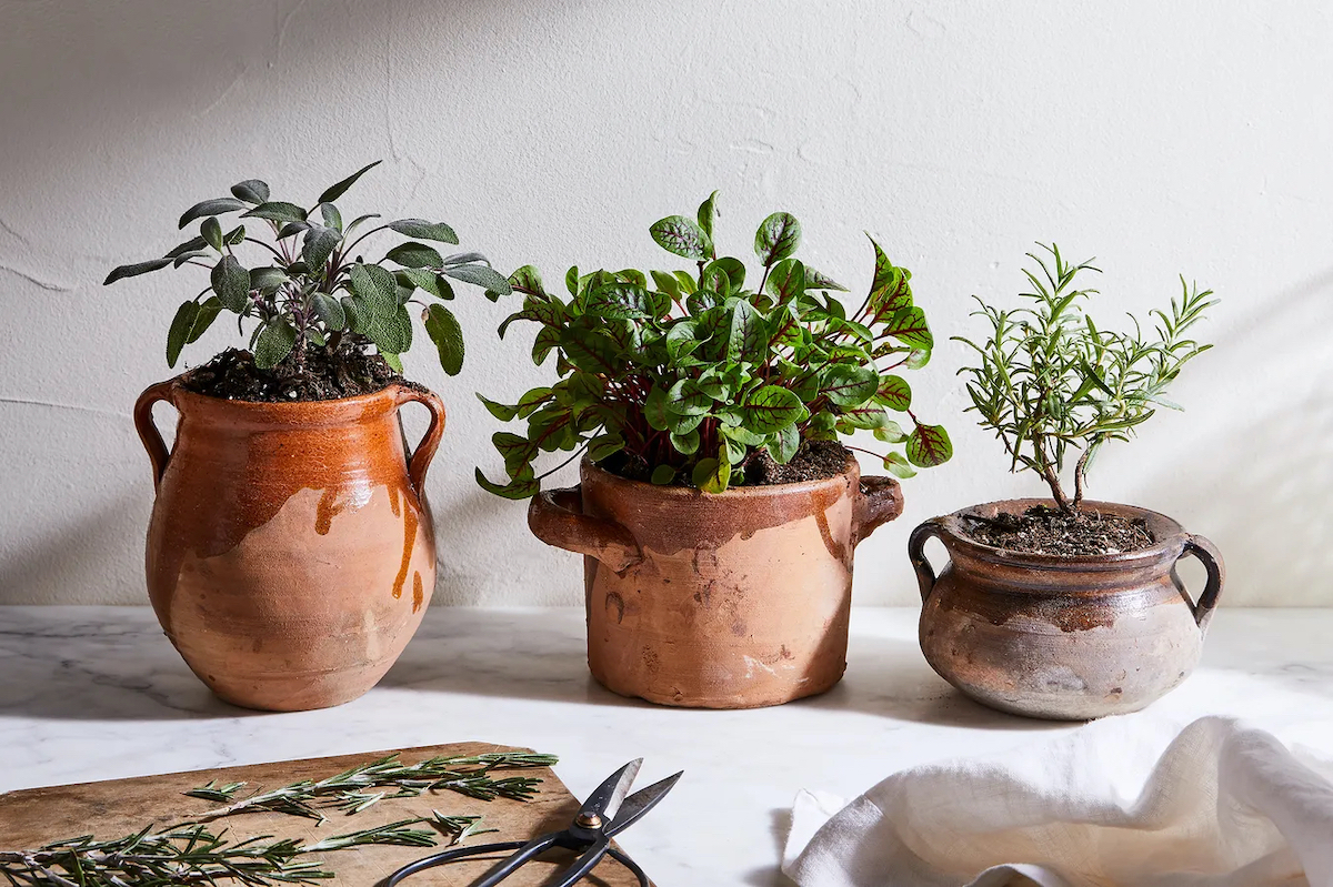 (Ty Mecham / Food52)
