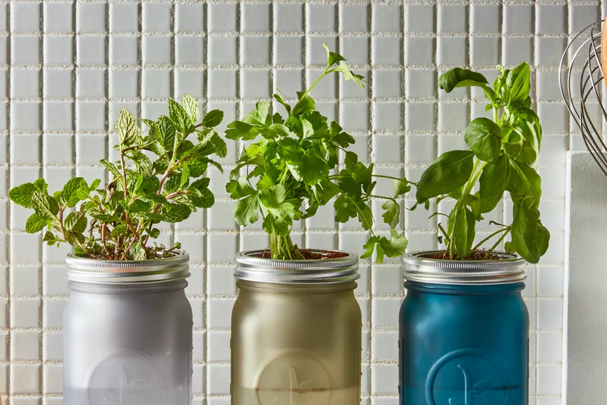 (James Ransom / Food52)