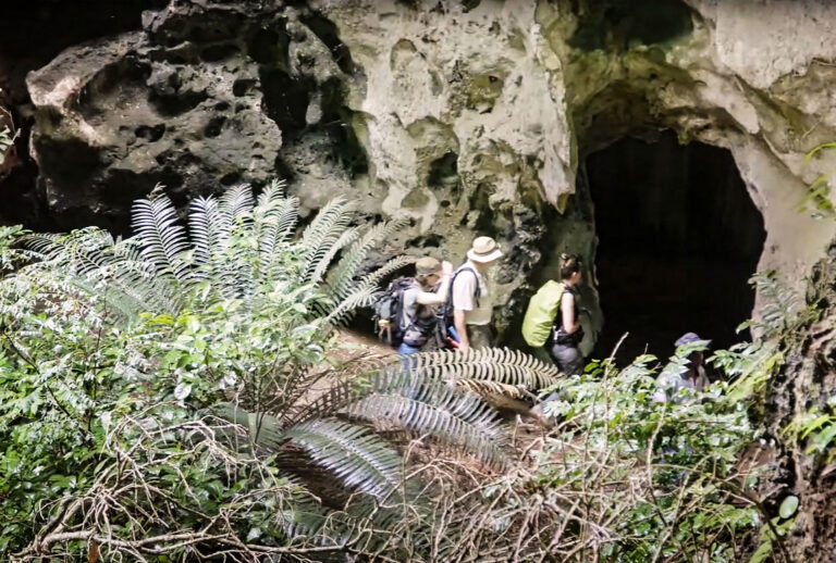 This handout picture released on May 4, 2021 by the CNRS-University of Bordeaux, shows archaelogists at the Panga Ya Saidi site, north of Mombasa, Kenya, where the remains of a 3-year-old child named by the scientists "Mtoto" (meaning 'child' in Swahili) and buried inside a deliberately dug pit, were discovered. (FRANCESCO DERRICO,ALAIN QUEFFELEC/UNIVERSITY OF BORDEAUX/AFP via Getty Images)