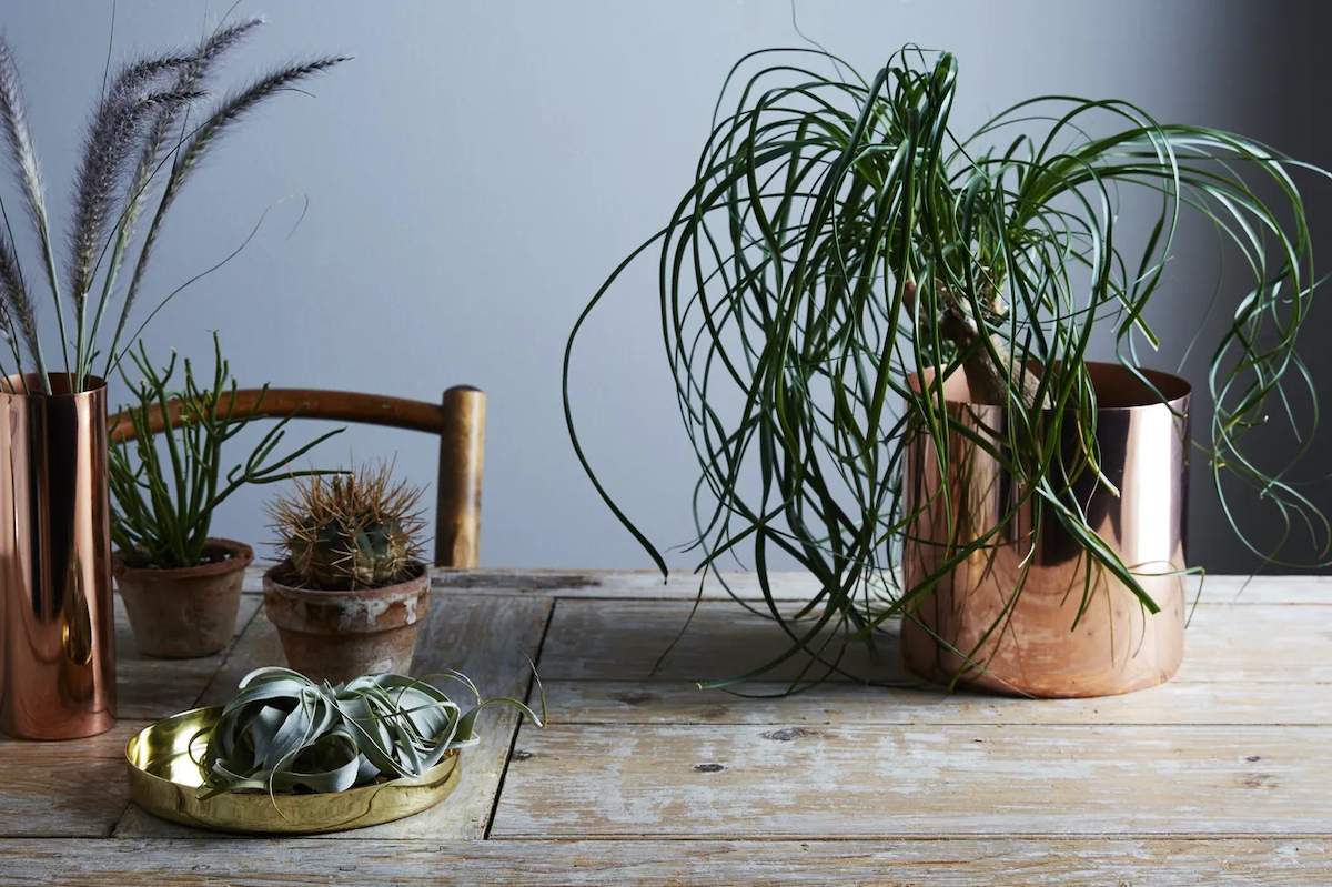 (Bobbi Lin / Food52)