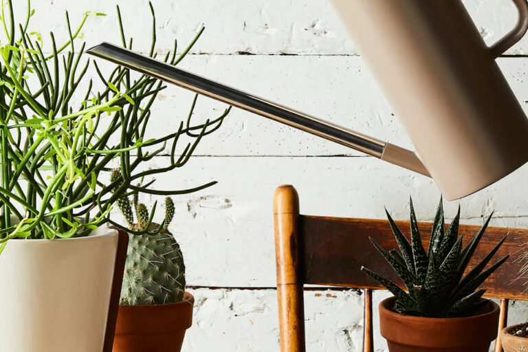 (Rocky Luten / Food52)