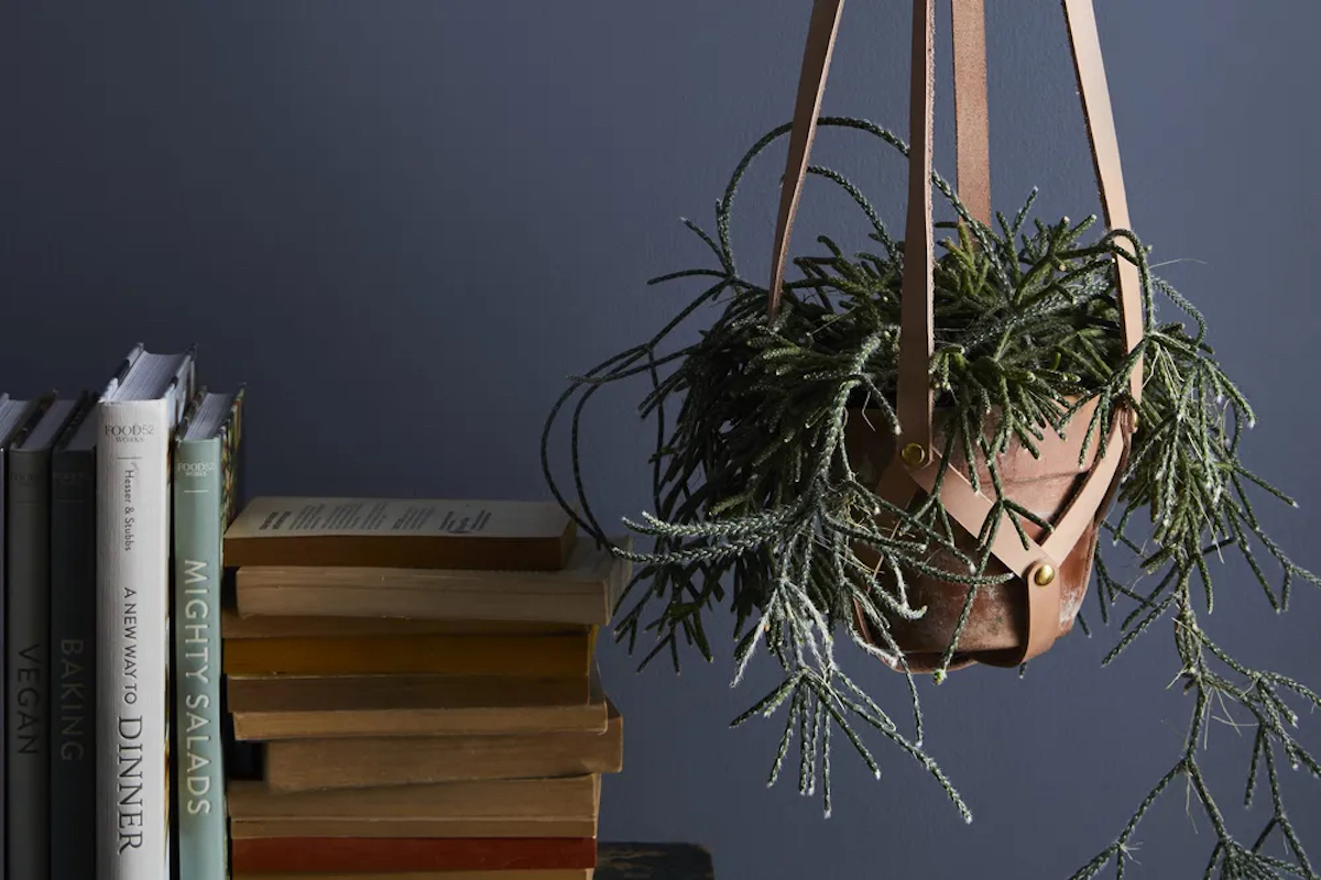 (Ty Mecham / Food52)