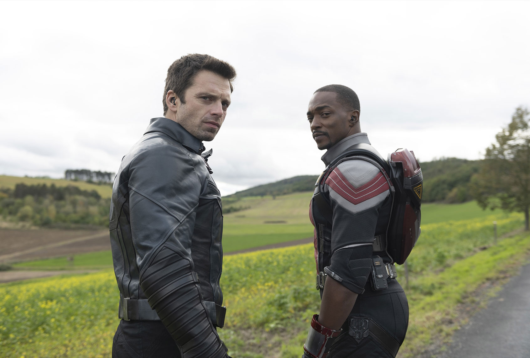 The Falcon and the Winter Soldier (Disney+/Marvel Studios)