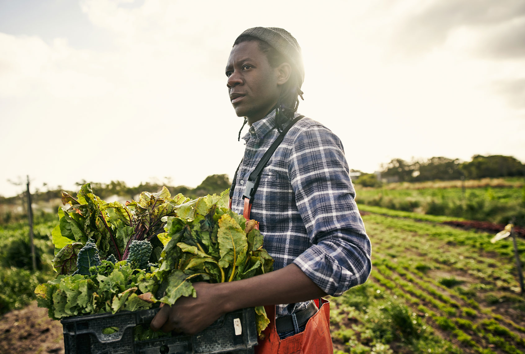 Shot of a young man holding a crate of freshly picked produce on a farm (Getty Images)