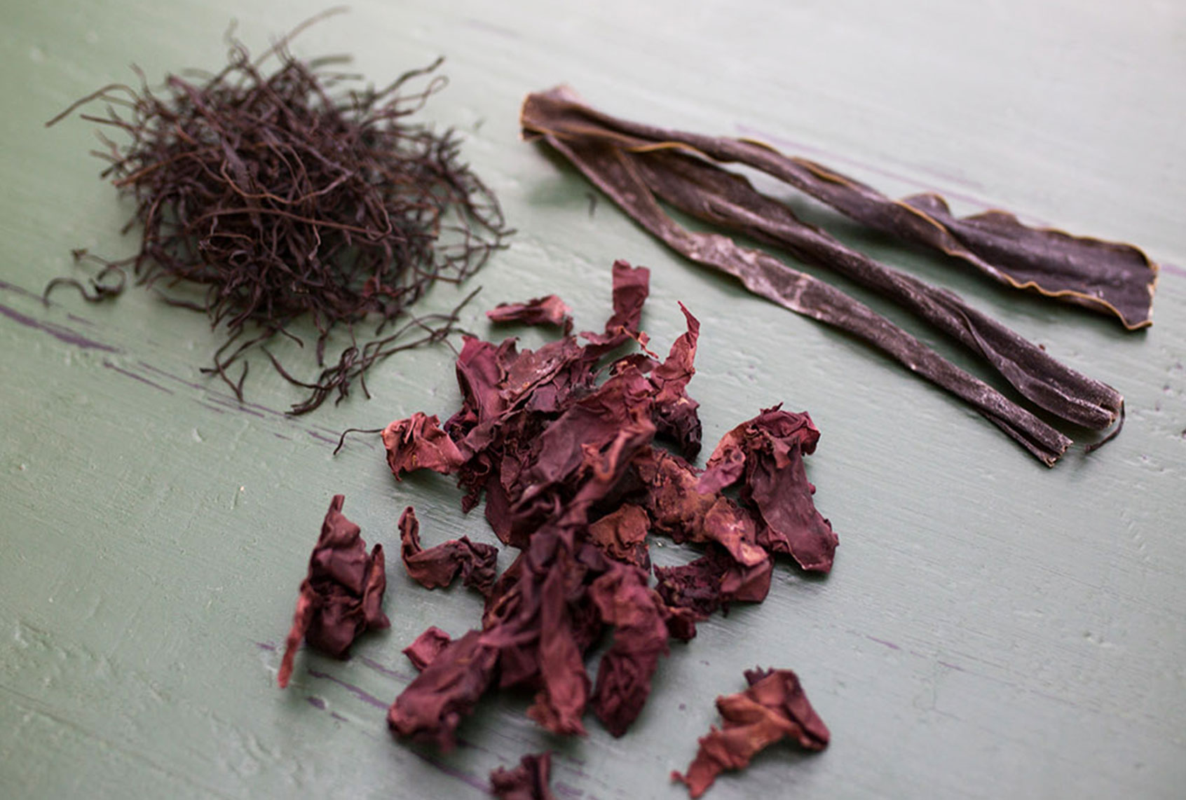 Seaweeds ((Photo courtesy of the Institute of Culinary Education)