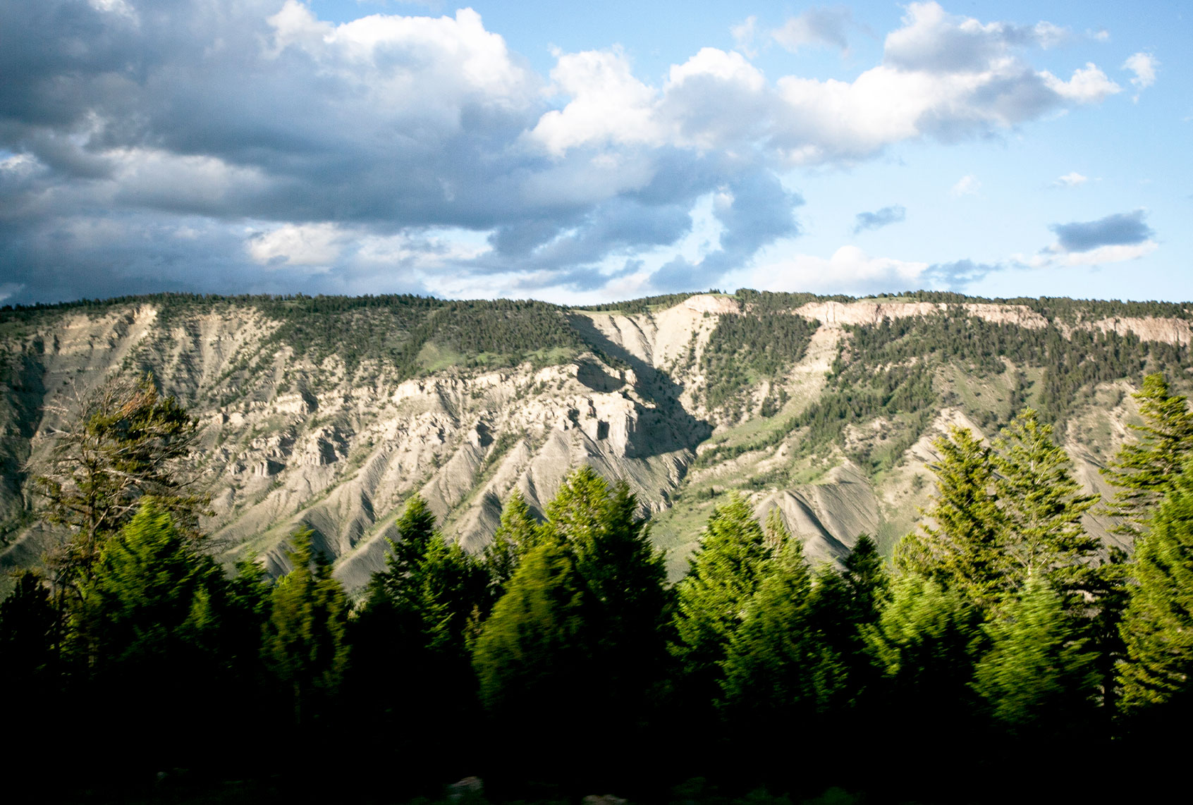 View of Yellowstone National Park, US, on June 19, 2020. (Karla Ann Cote/NurPhoto via Getty Images)