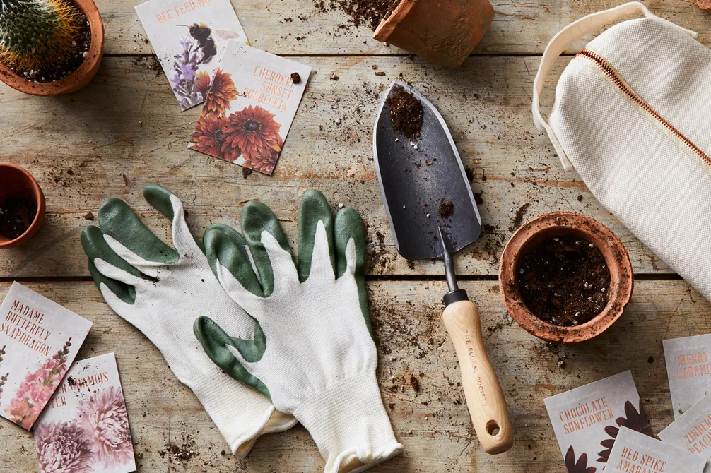 (Rocky Luten / Food52)