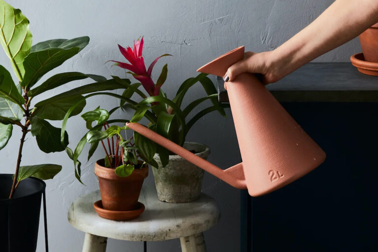 (Rocky Luten / Food52)