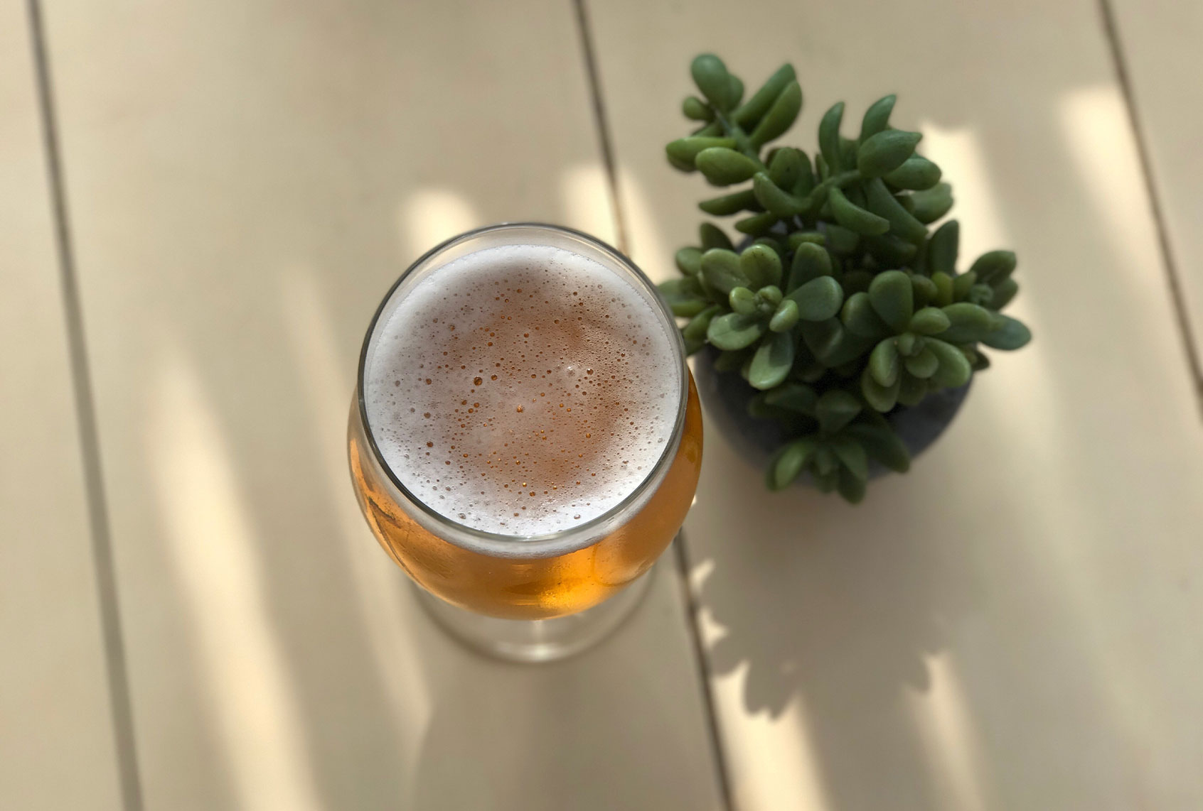 High Angle View Of Glass Of Beer (Getty Images/Bruce Suttie)