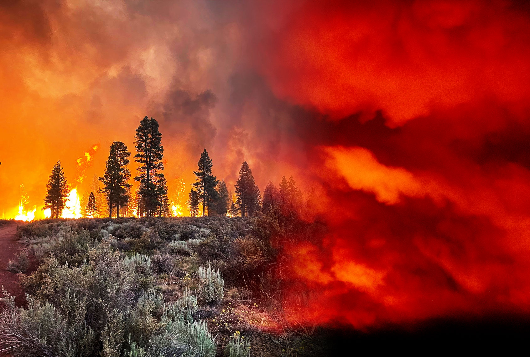 Bootleg Fire burns in Bly, Oregon. The Bootleg Fire has has spread over 212,377 acres, making it the largest among the dozens of blazes burning in the western U.S. fueled by record temperatures and drought. The extreme drought-hit western United States braced for more wildfire destruction July 16, 2021 as efforts to contain a vast blaze scorching southern Oregon failed to progress, and dangerous dry lightning storms were forecast in California. (Photo illustration by Salon/Getty Images)