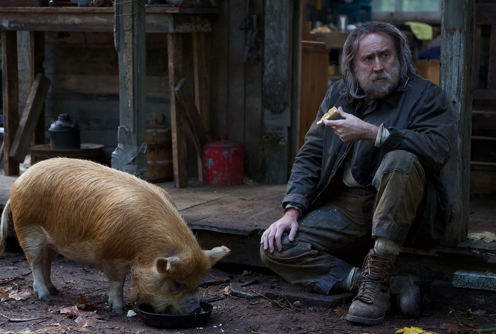 Nicolas Cage in "Pig" (Neon)