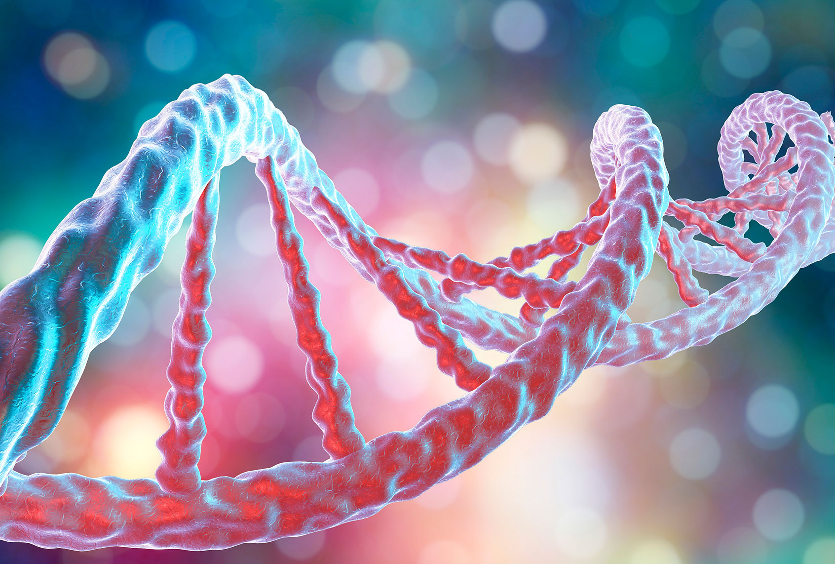 DNA molecule (Getty Images/KATERYNA KON/SCIENCE PHOTO LIBRARY)