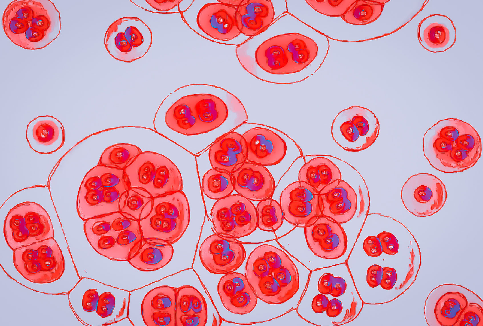 Virus Cells (Catherine McQueen/Getty Images)