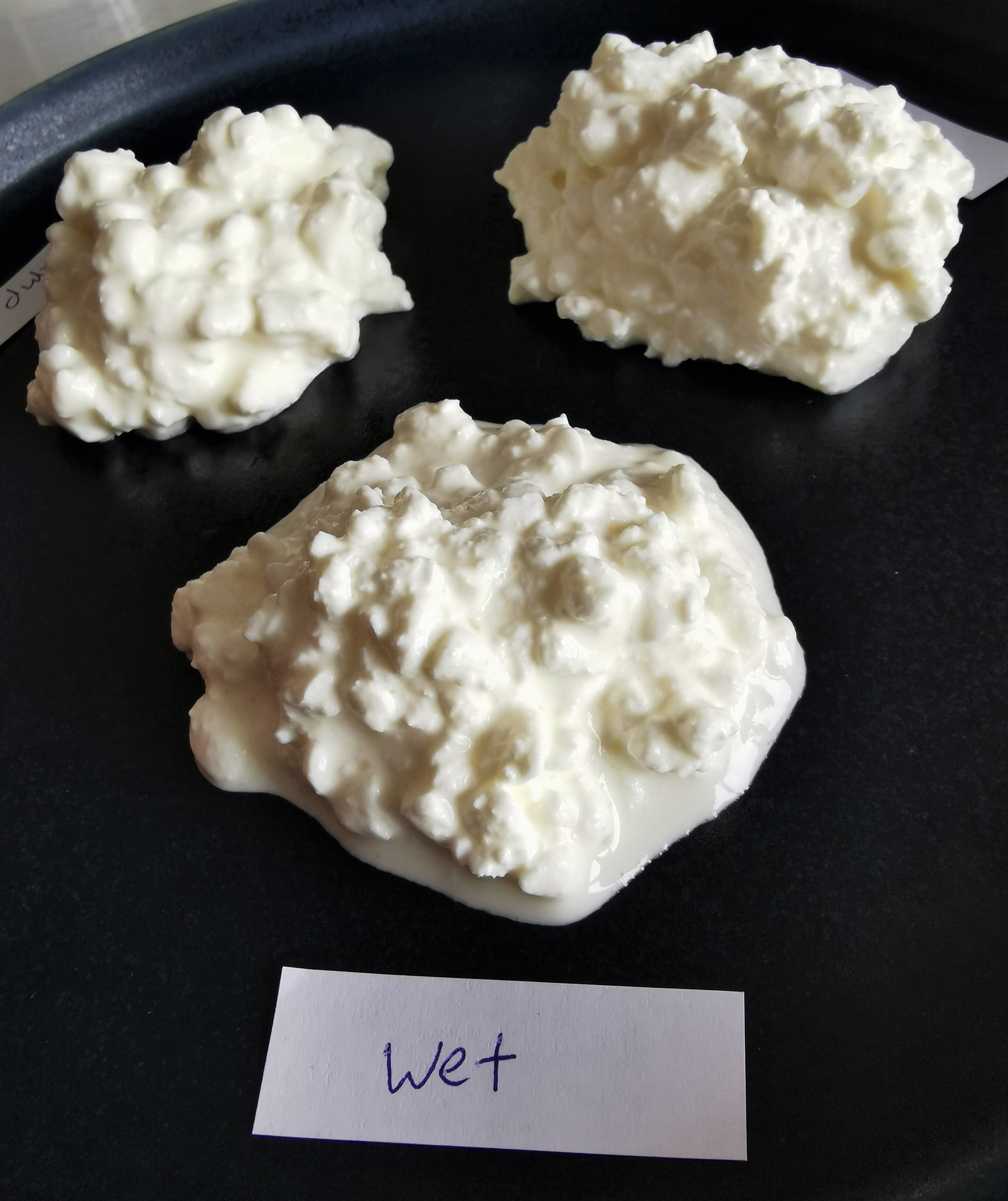 Wet Cottage Cheese