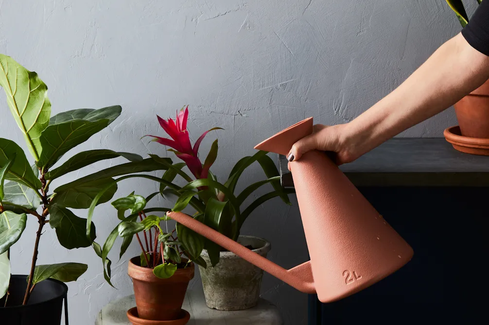 (Rocky Luten / Food52)