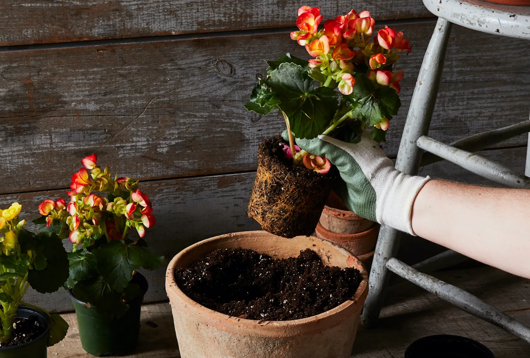 (Rocky Luten / Food52)