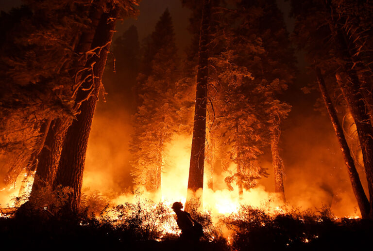 Cal firefighter Travis Moore lights a backfire along highway 50 as the Caldor Fire burns near Lake Tahoe, CA on Tuesday August 31, 2021. (Wally Skalij/Los Angeles Times via Getty Images)