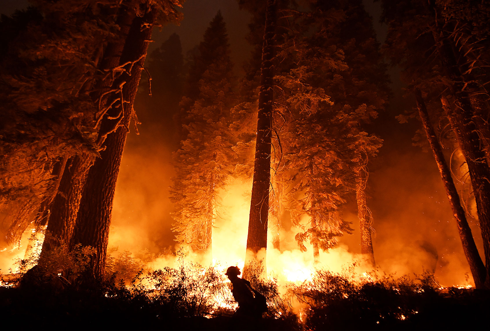 Cal firefighter Travis Moore lights a backfire along highway 50 as the Caldor Fire burns near Lake Tahoe, CA on Tuesday August 31, 2021. (Wally Skalij/Los Angeles Times via Getty Images)