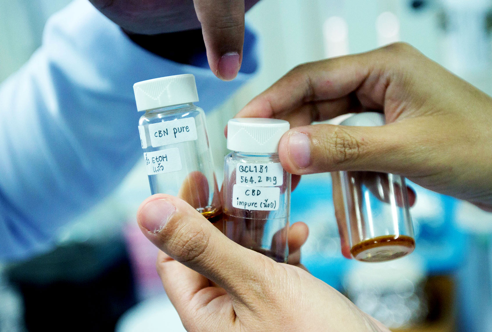 Scientists display 3 cannabinoids extract, CBN, CBD and THC at Rangsit University in Pathum Thani Province, north of Bangkok. (Guillaume Payen/SOPA Images/LightRocket via Getty Images)