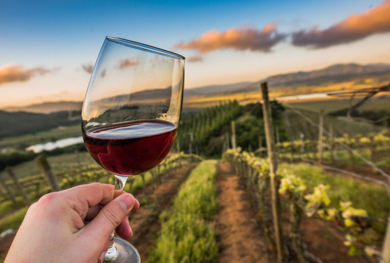Kingston Family Vineyard at Sunset with a glass of our Pinot Noir (Courtesy Kingston Family Vineyards/Vin Social)