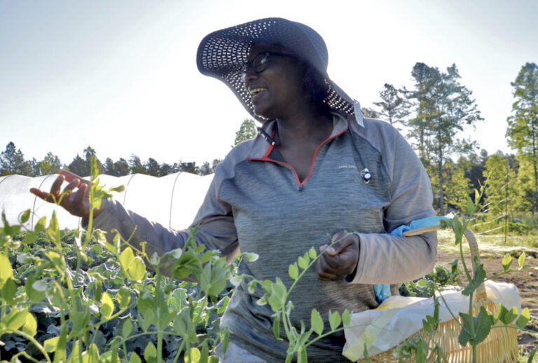 Keia Blount in the fields at Benevolence Farm. (Photo courtesy of Keia Blount)