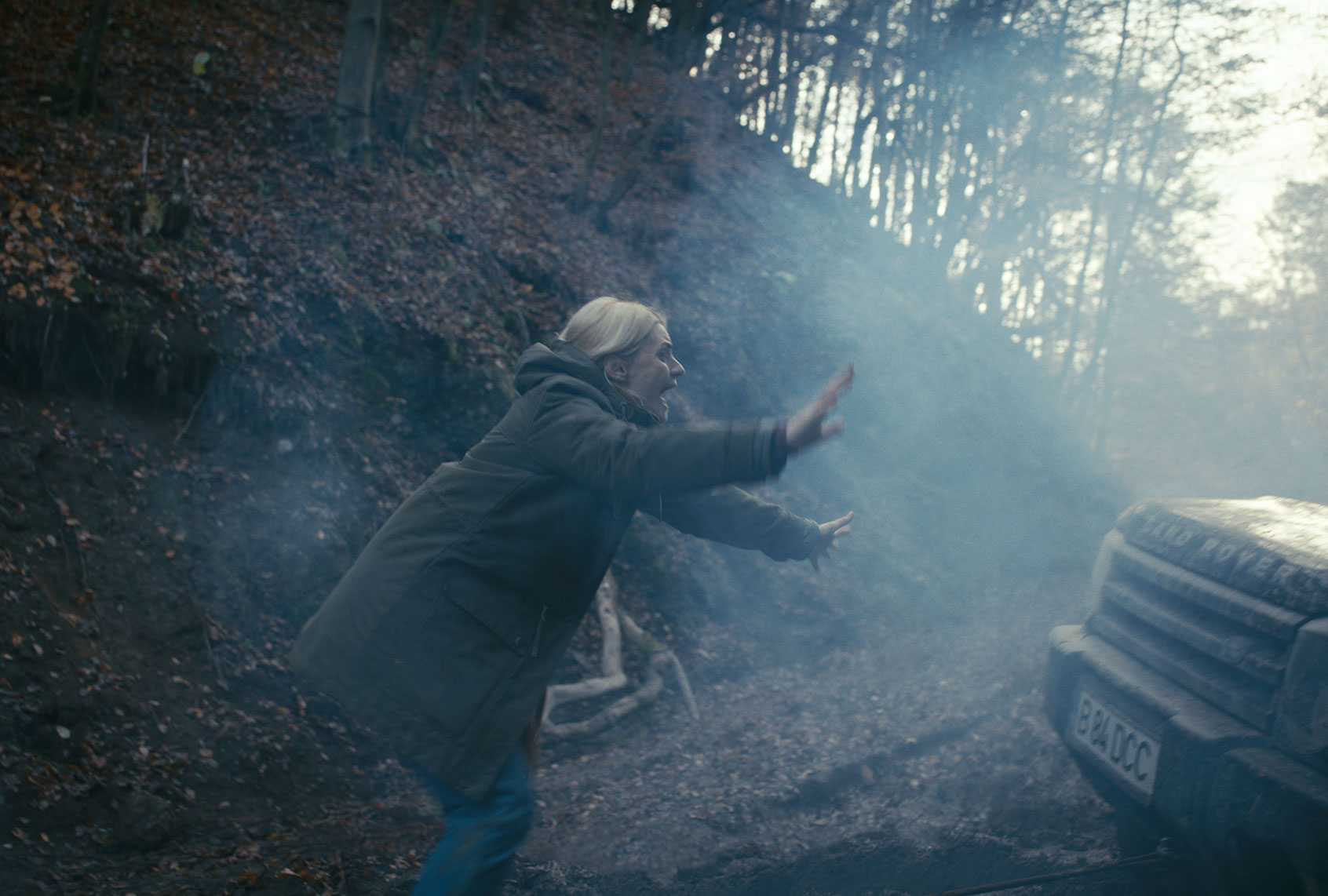 Intregalde (Voodoo Films)
