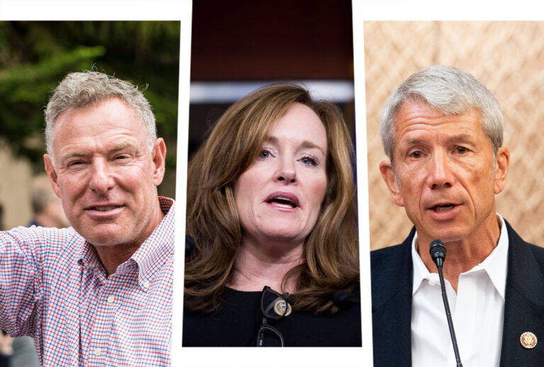 Scott Peters, Kathleen Rice and Kurt Schrader (Photo illustration by Salon/Getty Images)
