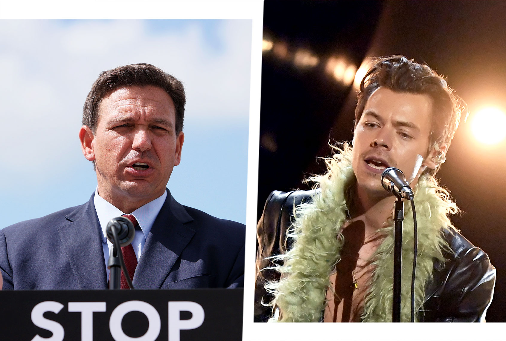 Ron DeSantis and Harry Styles (Photo illustration by Salon/Getty Images)