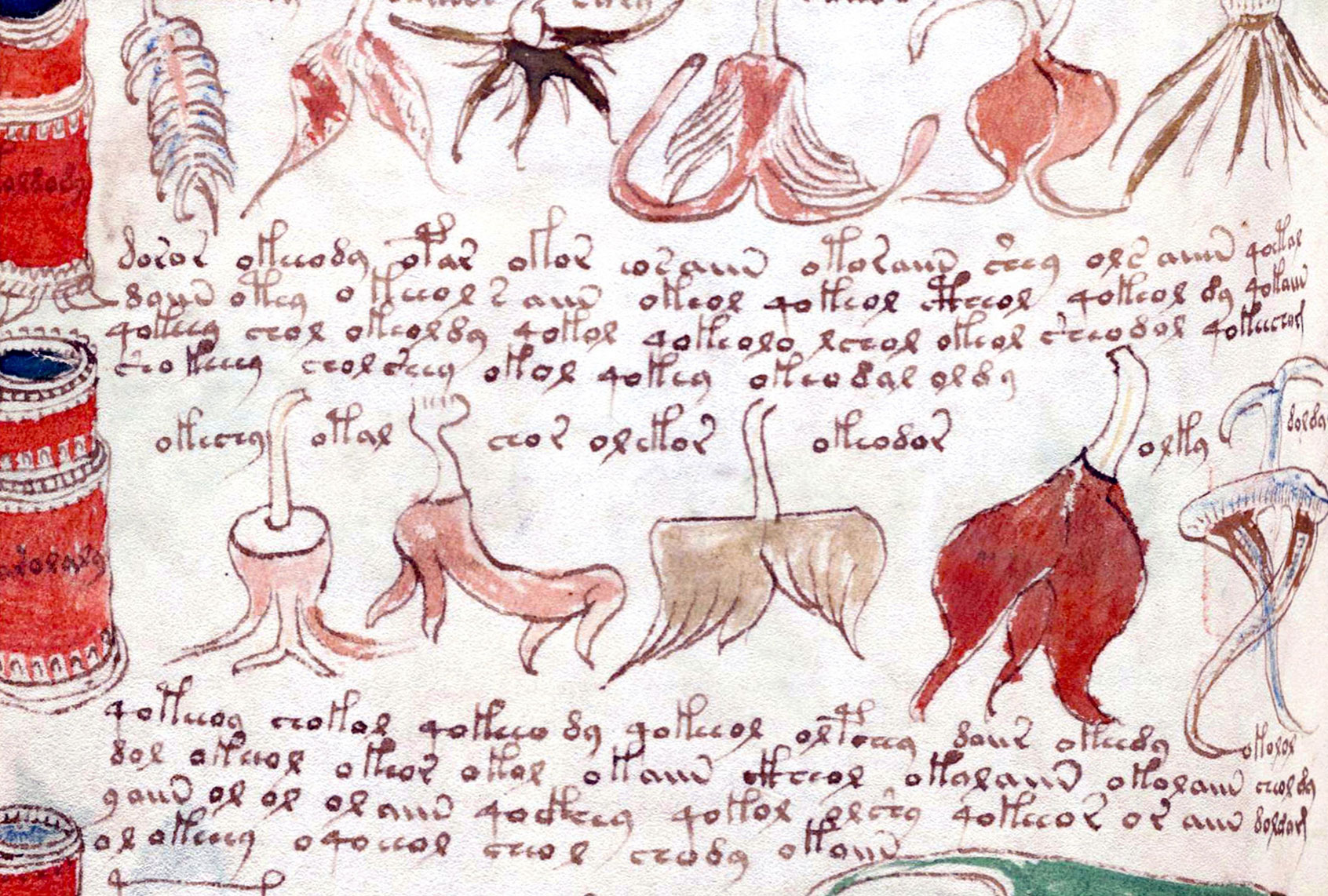 The Voynich Manuscript is considered by scholars to be most interesting and mysterious document ever found. Dated 16th century (Universal History Archive/UIG via Getty images)