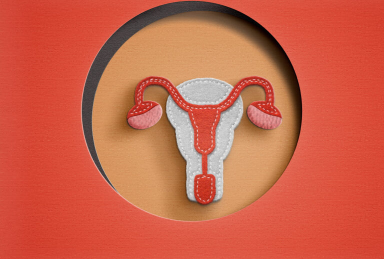Female reproductive system in paperwork (Getty Images/Carol Yepes)