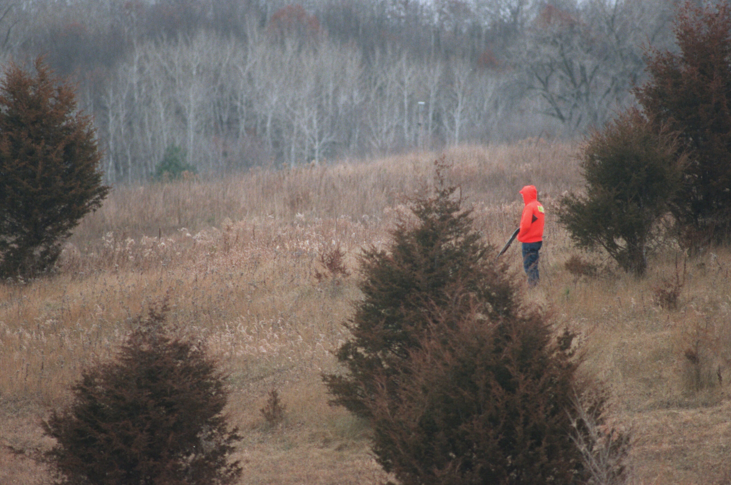 A hunter stands motionless as he waits for a deer to come into shooting range. (JOHN CROFT/Star Tribune via Getty Images)