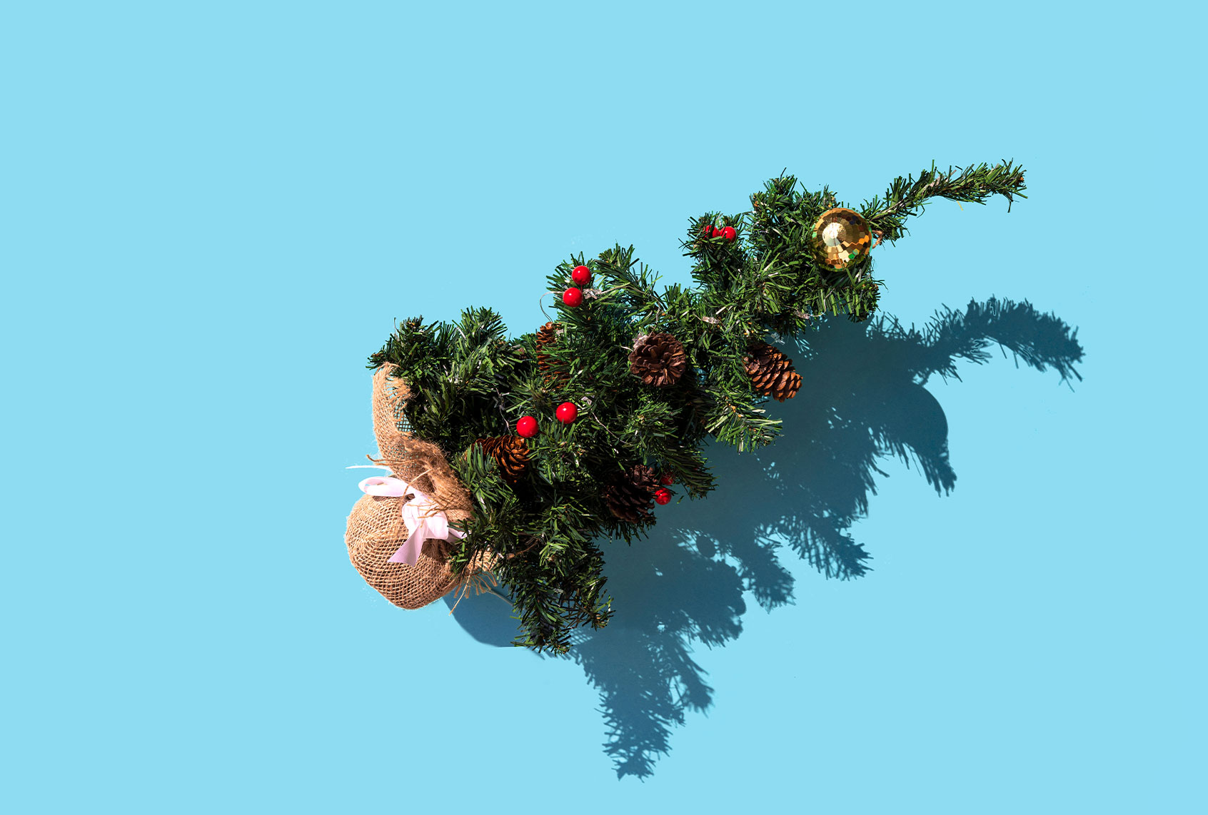 Christmas tree (Getty Images/Volanthevist)