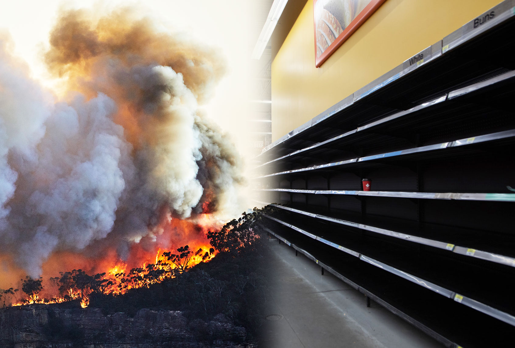 Out of control fire on Narrow Neck Plateau, Katoomba, Blue Mountains, Australia. Climate change is causing extreme weather, prolonged droughts and increasing bushfires | Empty store shelves are seen in a supermarket as people has been stocking up for food and other essential items fearing the supply shortages (Photo illustration by Salon/Getty Images)