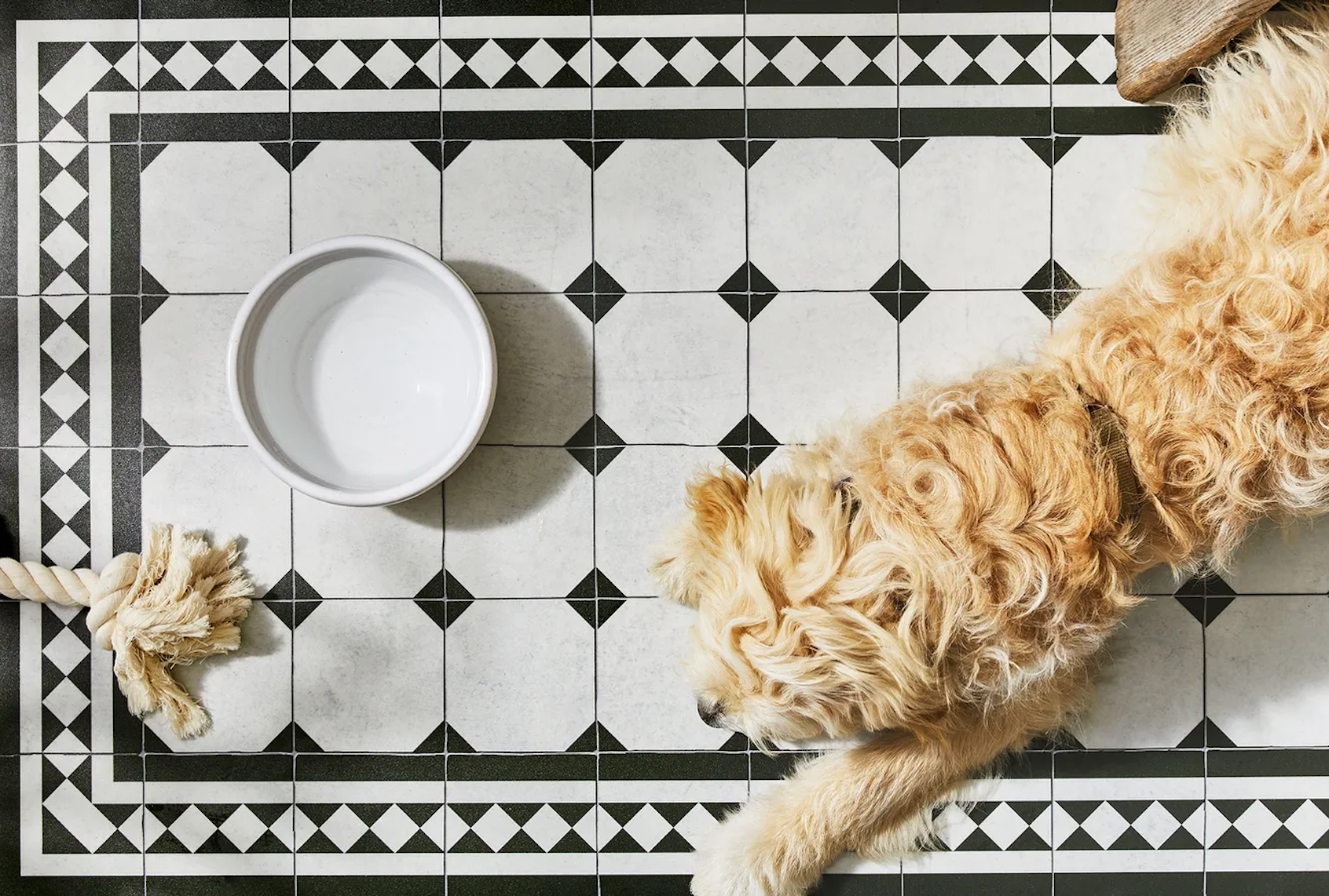 (Julia Gartland / Food52)