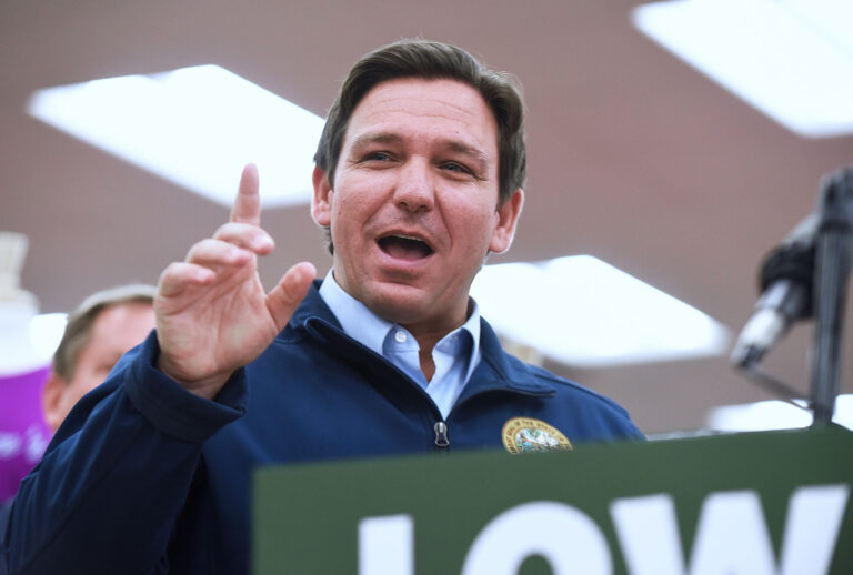 Florida Gov. Ron DeSantis (Paul Hennessy/SOPA Images/LightRocket via Getty Images)