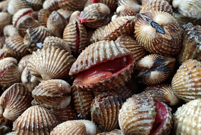 Clams in Malaysia (Ritzzuan Salim / EyeEm/Getty stock photos)