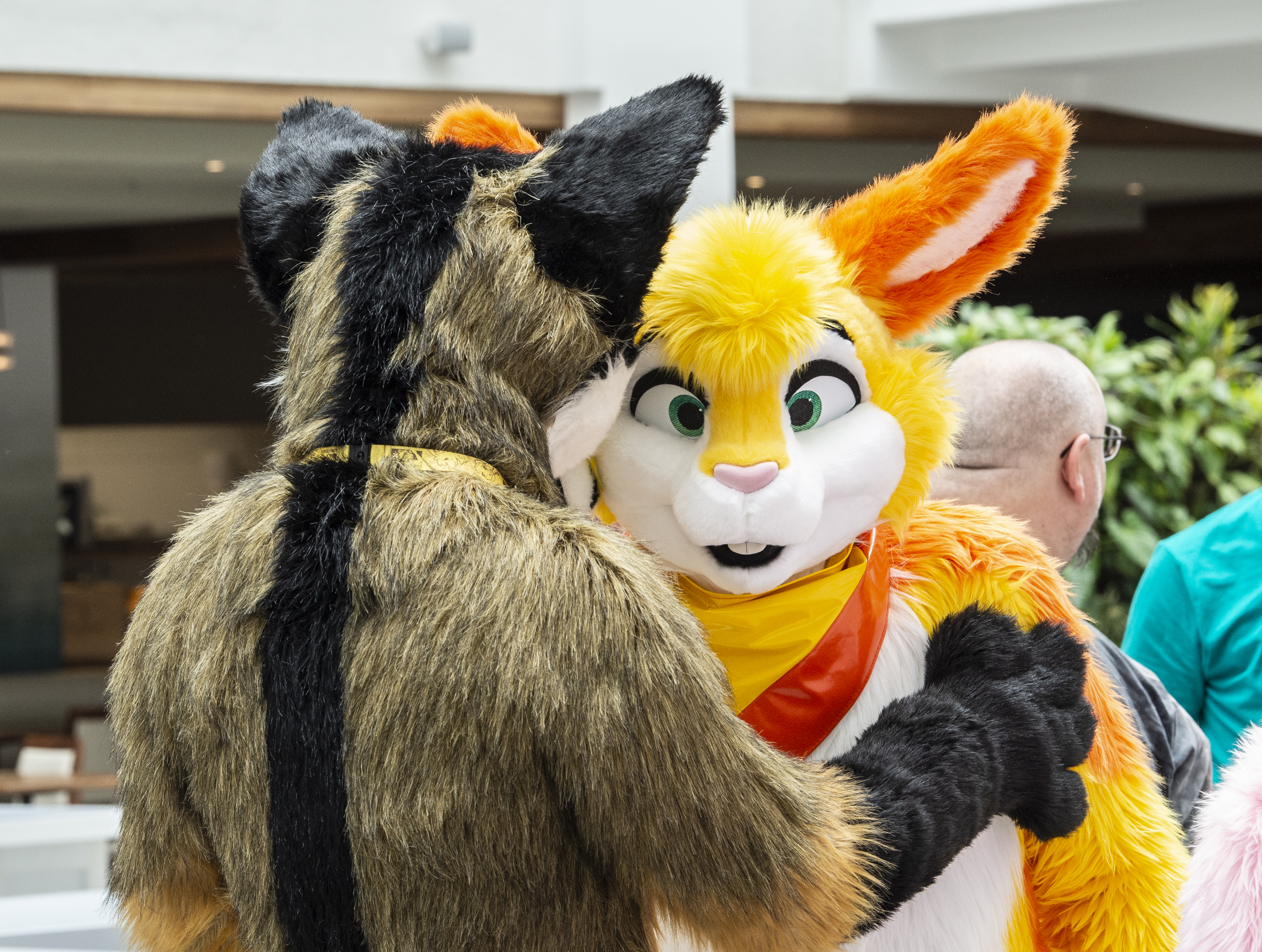 The annual "Eurofurence" convention in Berlin brings together people who have a penchant for fur costumes. (Paul Zinken/picture alliance via Getty Images)
