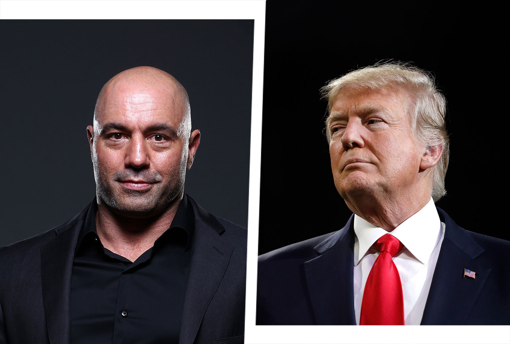 Joe Rogan and Donald Trump (Photo illustration by Salon/Getty Images)