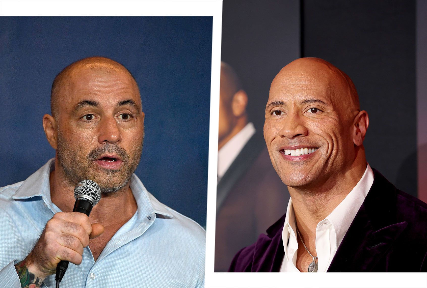 Joe Rogan and Dwayne "The Rock" Johnson (Photo illustration by Salon/Getty Images)