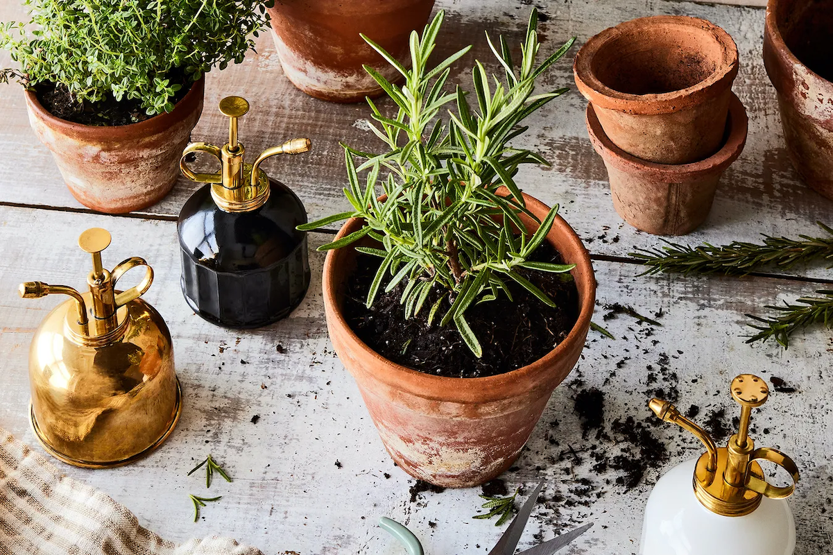 (Rocky Luten / Food52)