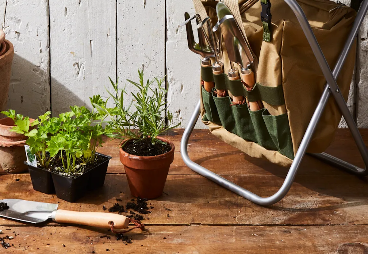 (Rocky Luten / Food52)