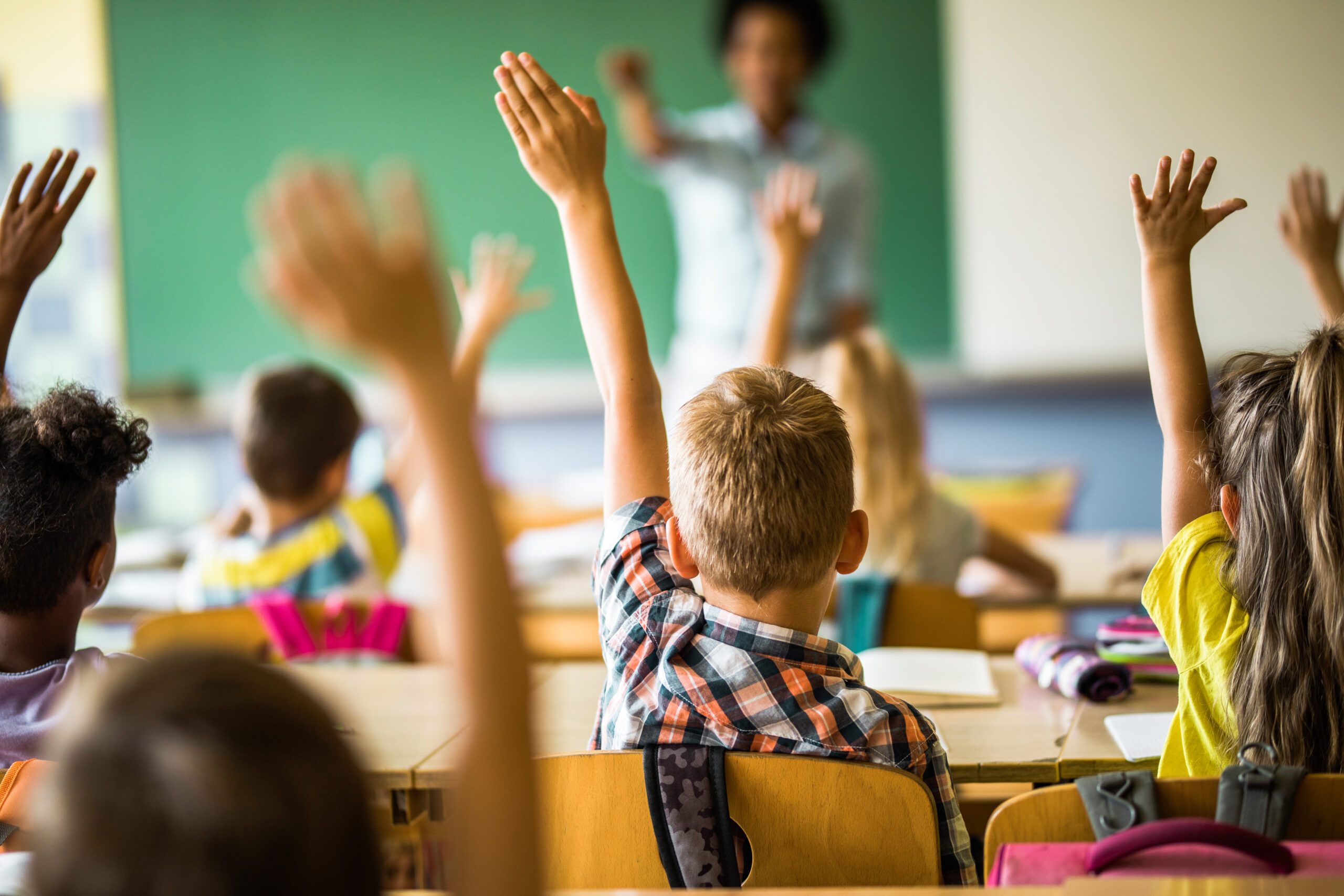 Rear view of large group of students raising their hands to answer the question on a class at elementary school. (Getty Images)