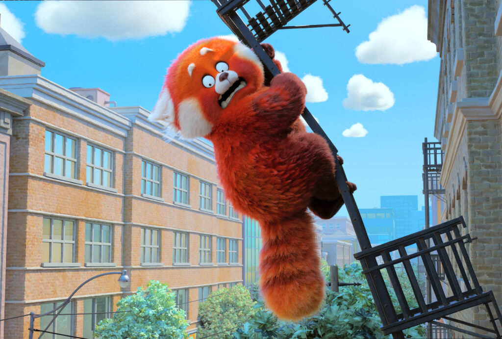 The Rowdy Red Panda