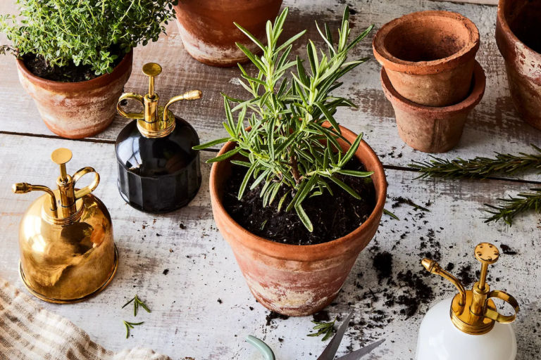 (Rocky Luten / Food52)