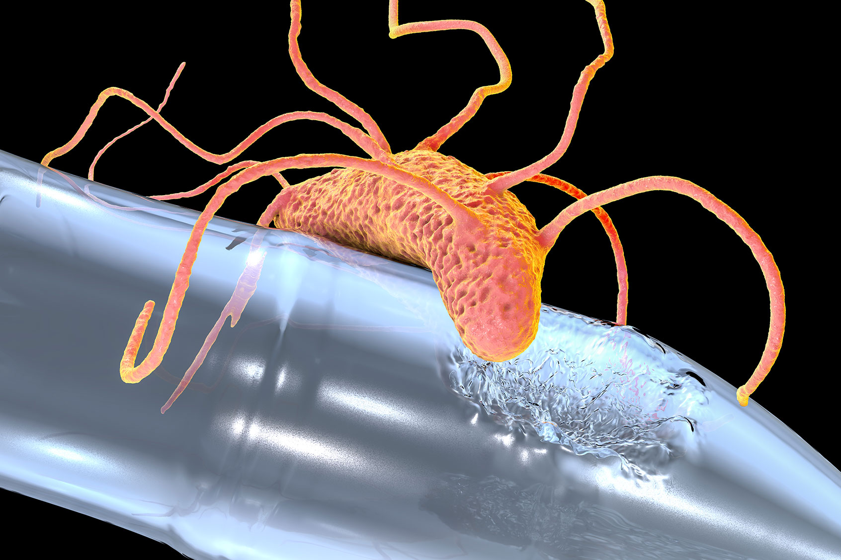 Plastic-degrading bacteria Ideonella sakaiensis, 3D illustration (Getty Images/Dr_Microbe)