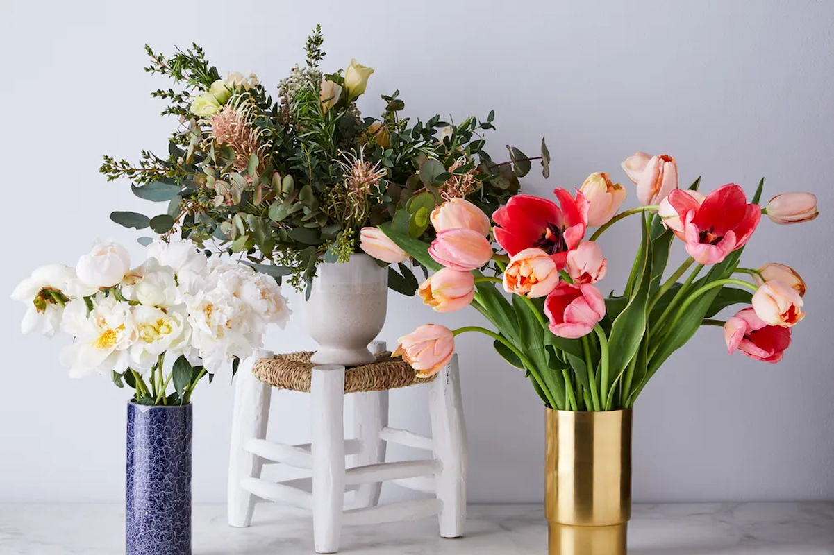 (Ty Mecham / Food52)